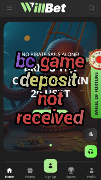 BC Game Deposit Not Received - Fix It-vz72fvrf.com