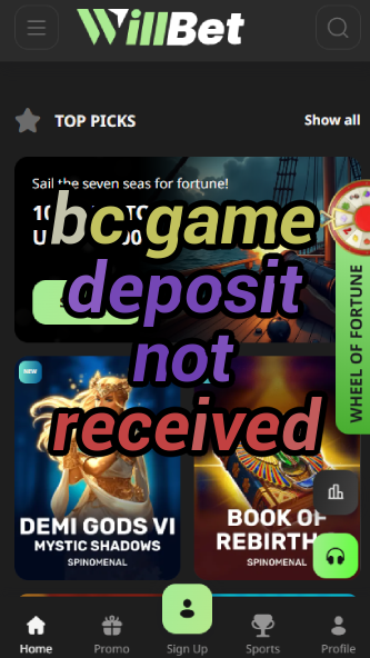 BC Game Deposit Not Received - Fix It-vz72fvrf.com