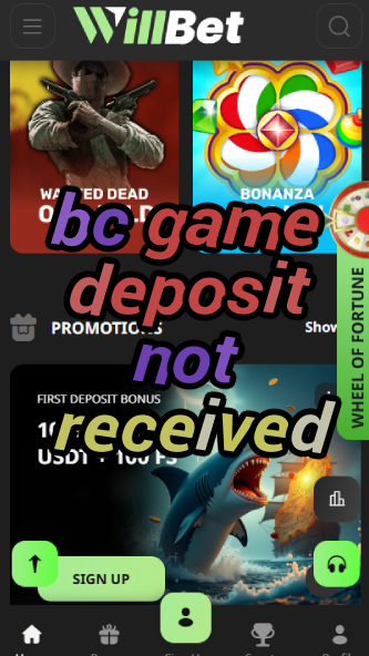 BC Game Deposit Not Received - Fix It-vz72fvrf.com