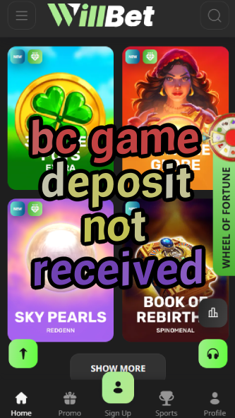 BC Game Deposit Not Received - Fix It-vz72fvrf.com